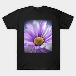 Purple Daisy Gerbera T-Shirt